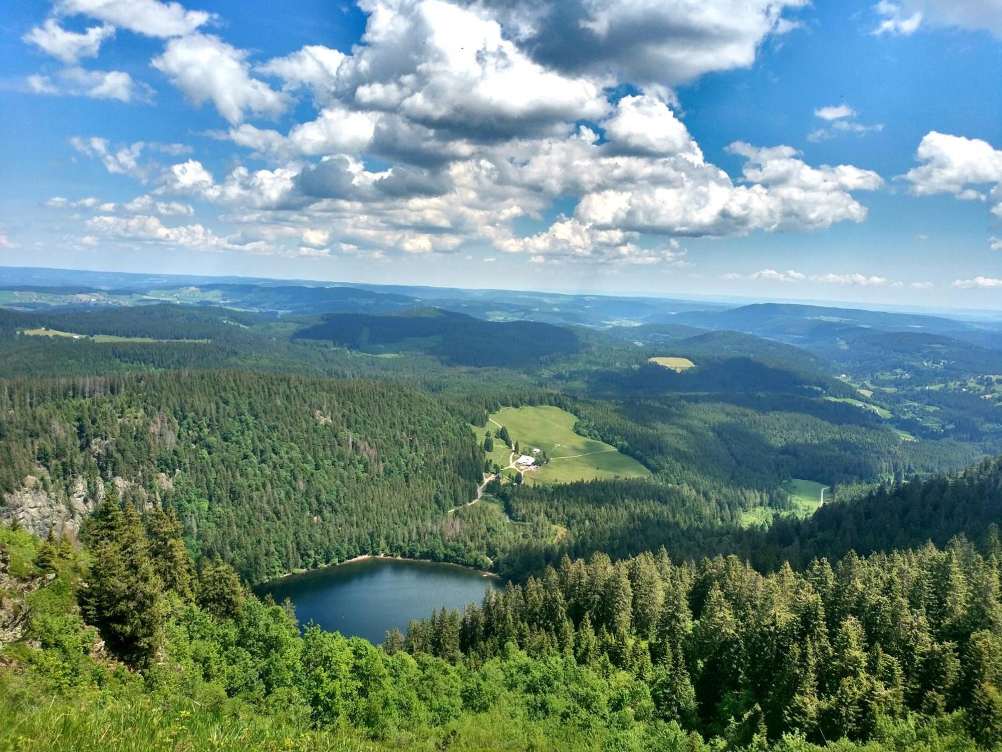 Ferienwohnung Schwarzwaldtraum - 2Zi - Feldberg Falkau Exterior foto